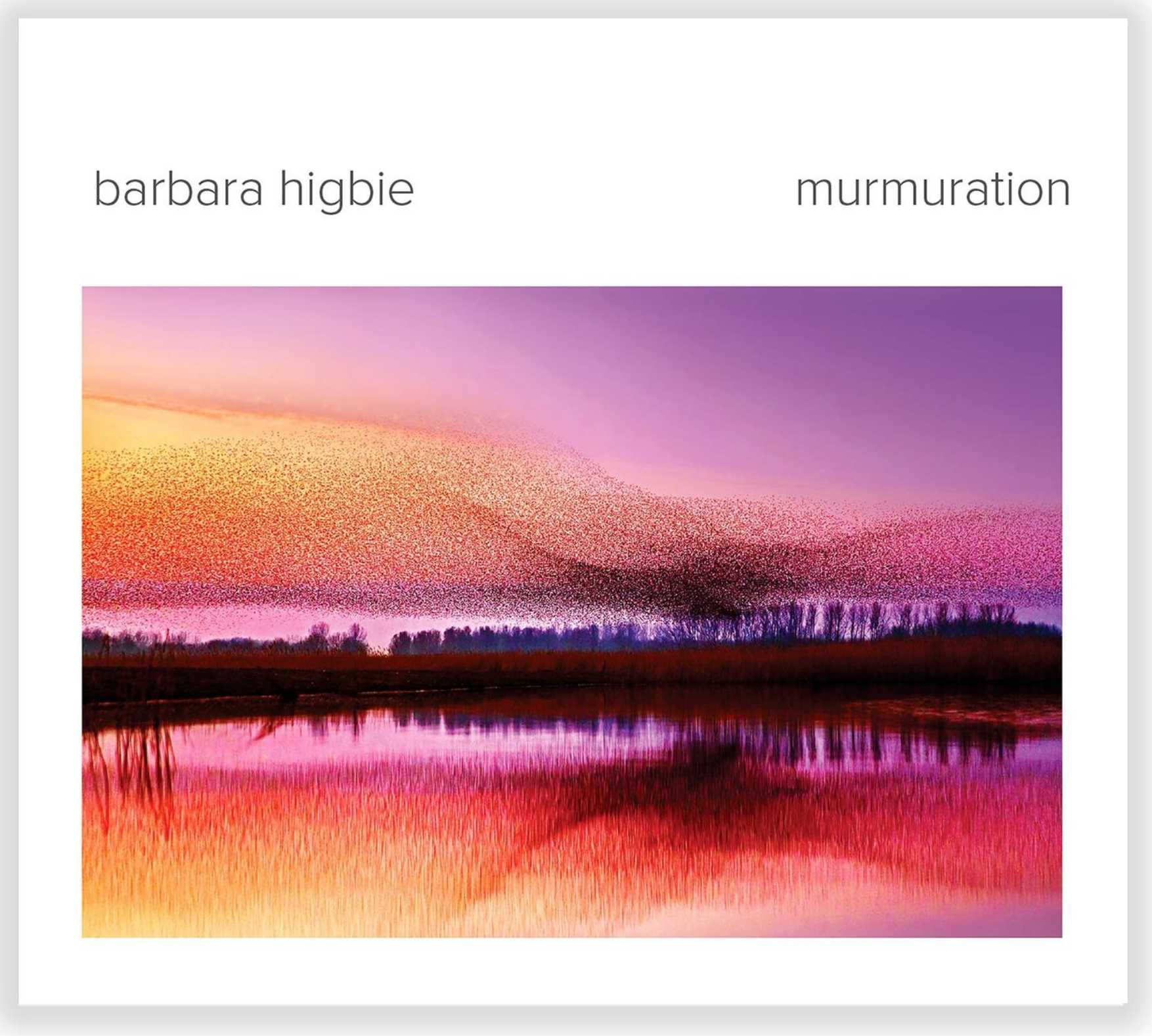 Murmuration album cover